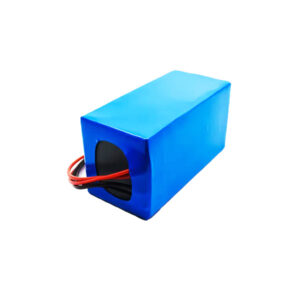 13S7P Litio Ione 48V 21Ah con BMS 50A